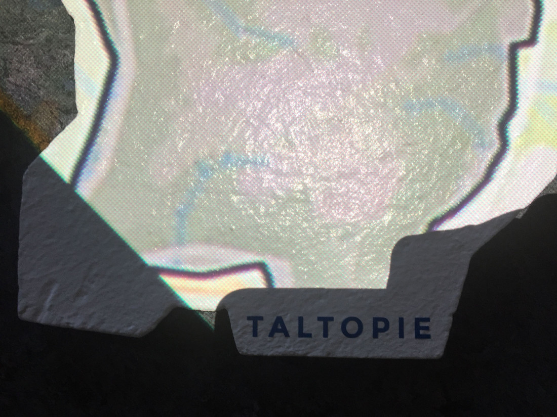 Taltopie