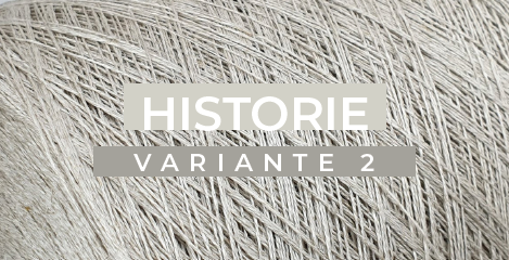 <? $page->title() ?>