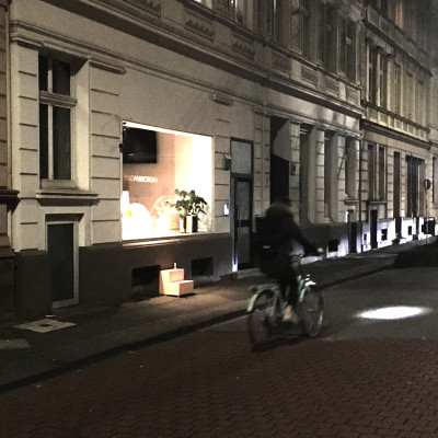 Tatort Hofaue &ndash; Eine M&ouml;glichkeitsgeschichte