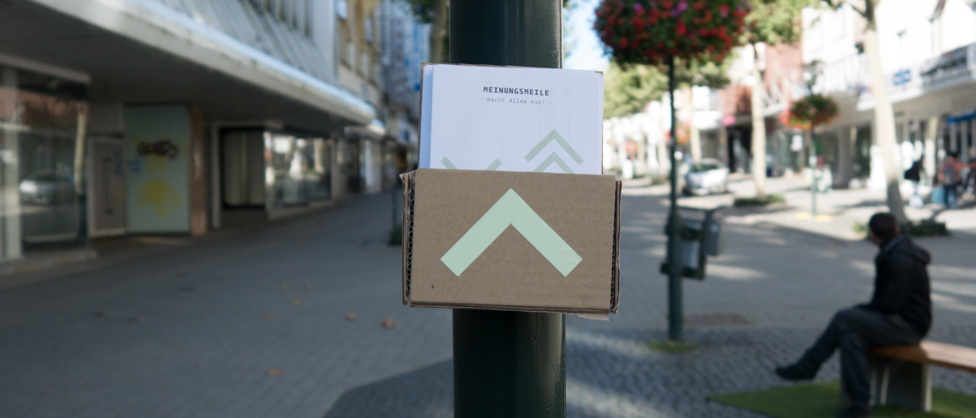 Meinungsbilder zur Alleestra&szlig;e